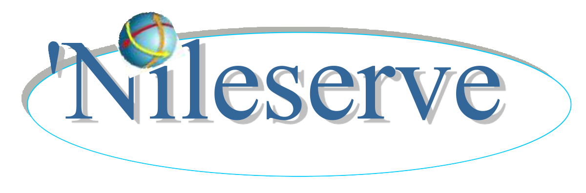 Logo NILE SERVE Algérie